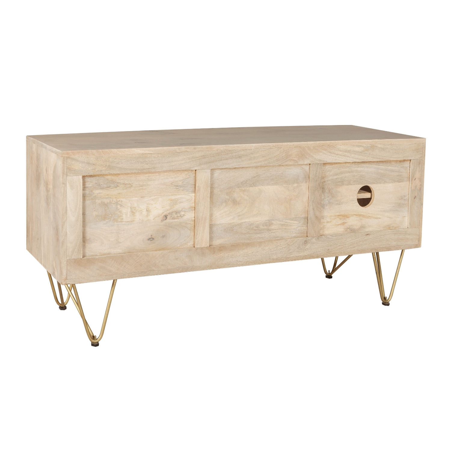 Light Gold Plasma Media Unit - Image 4