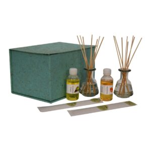 Mango Wood Adira Glass Bottle Diffuser Set (Mandarin & Apple Cinnamon)