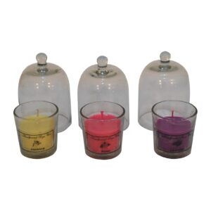 Solid Mango Round Candle Set of 3 (Rose, Jasmine, Lavender)