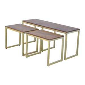 Mango Wood Chunky Gold Table Set of 3