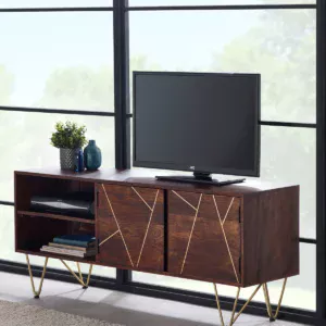 Dark Gold Plasma Media Unit