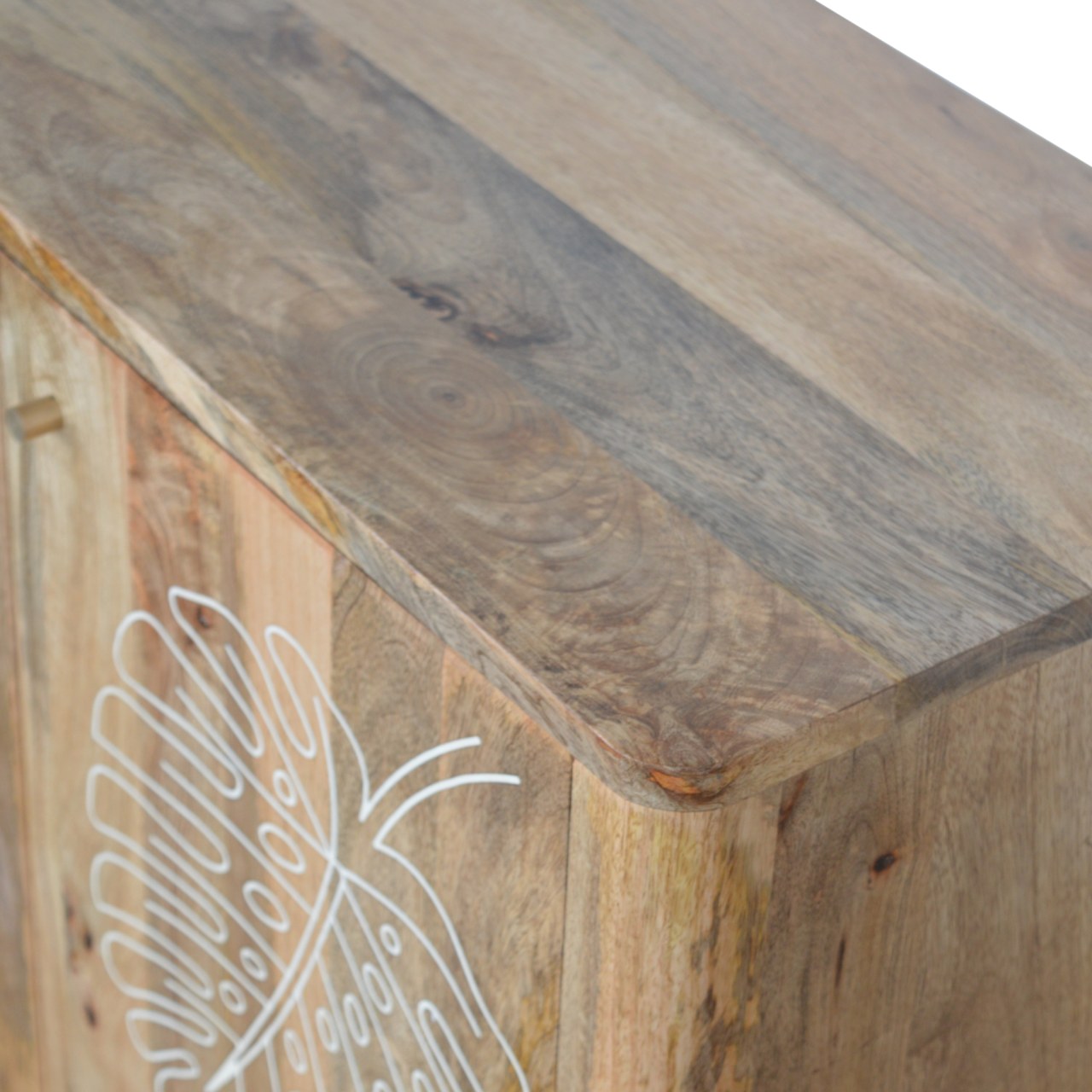 Solid Mango Wood Oak Finished 2 Door Resin Embossed Cabinet - Image 5