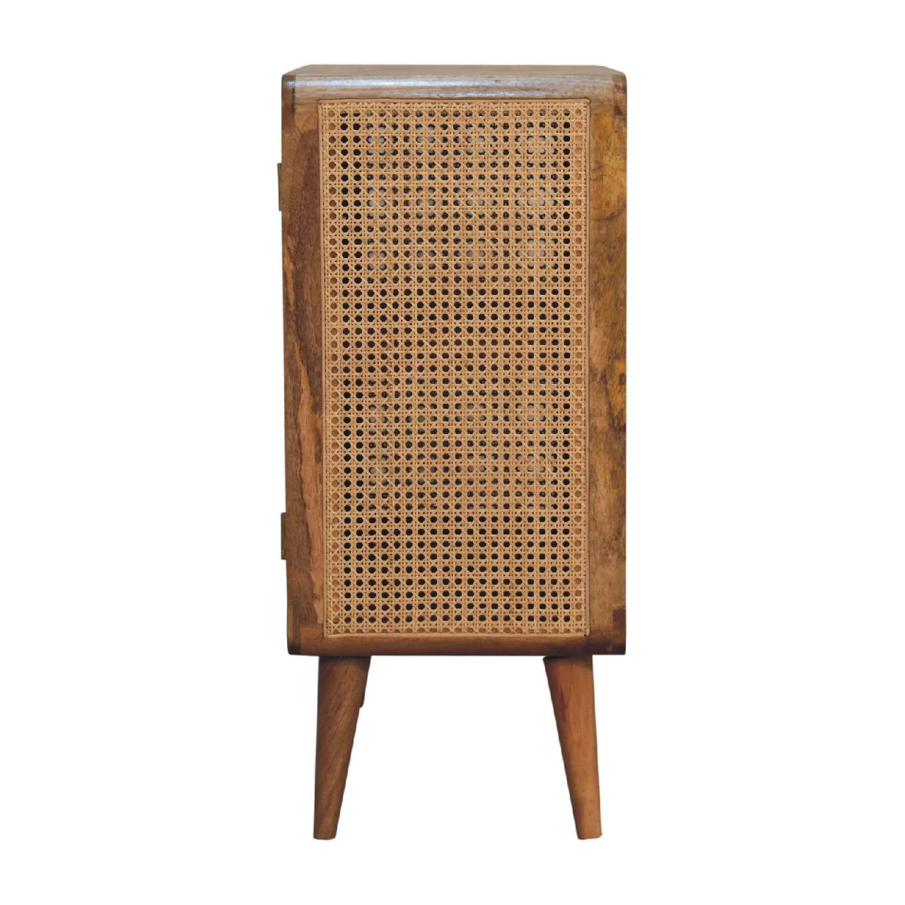 Solid Mango Wood Oak and Rattan Finished Two Door Cabinet - Image 8