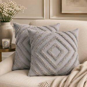 Solid Mango Wood Set of 2 Tacy Grey Cushions